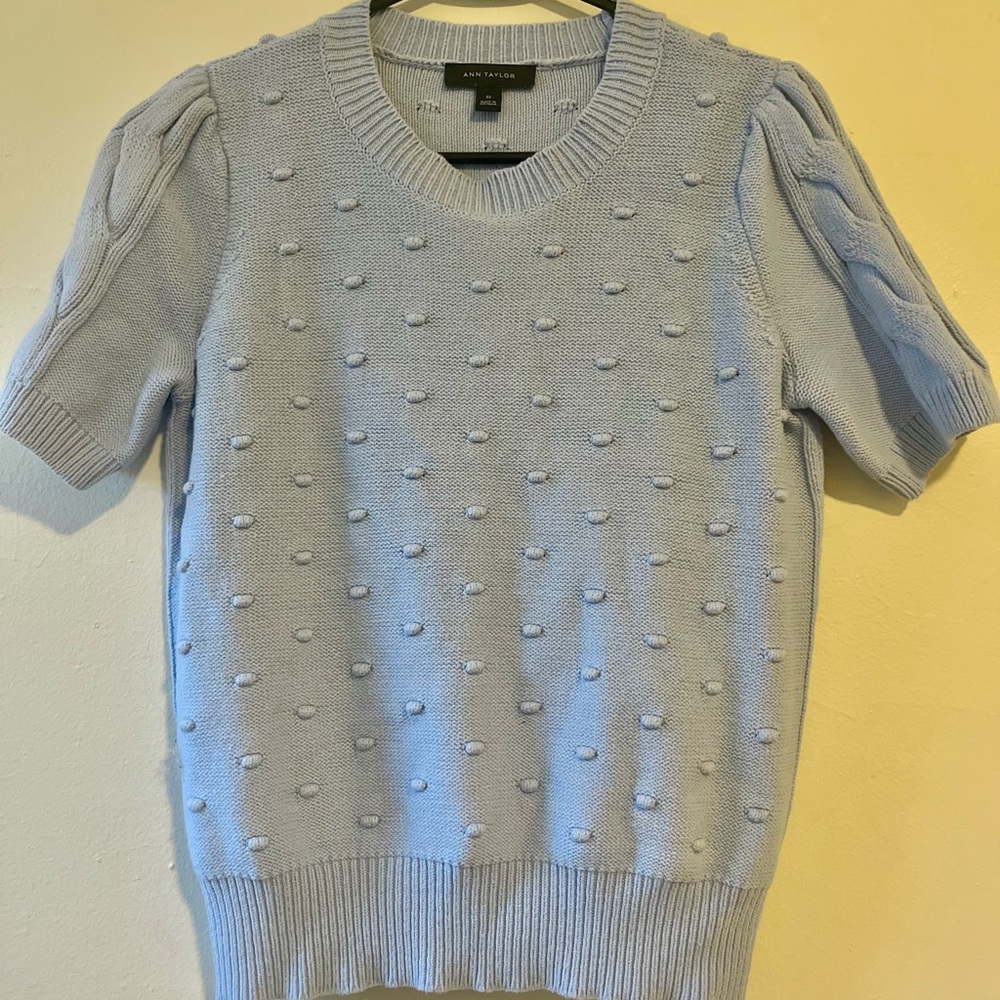 Ann Taylor Soft Blue Knit Top